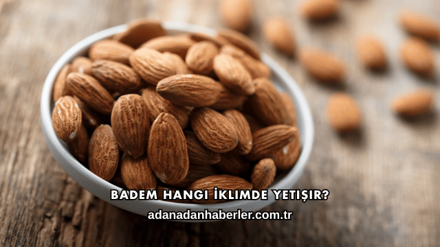 Badem Hangi İklimde Yetişir?