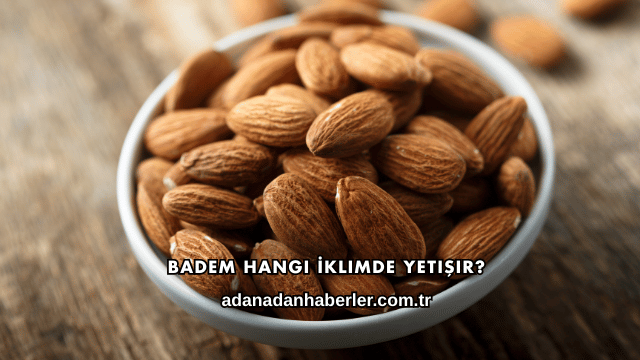 Badem Hangi İklimde Yetişir?