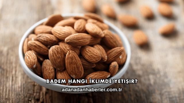 Badem Hangi İklimde Yetişir?