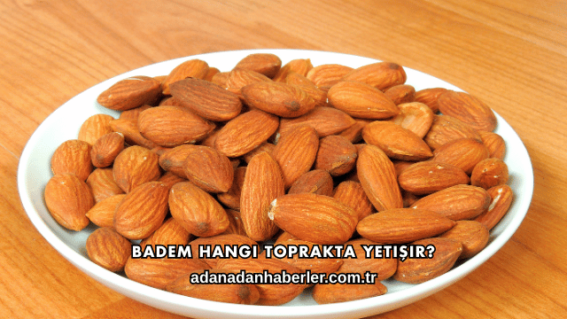 Badem Hangi Toprakta Yetişir?