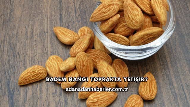 Badem Hangi Toprakta Yetişir?