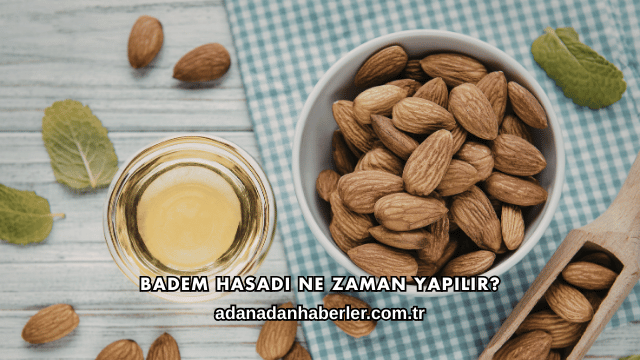 Badem Hasadı Ne Zaman Yapılır?