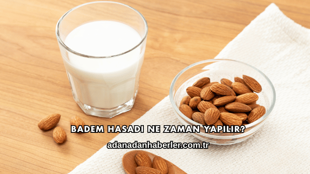 Badem Hasadı Ne Zaman Yapılır?