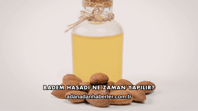 Badem Hasadı Ne Zaman Yapılır?