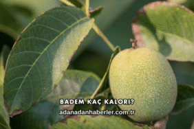 Badem Kaç Kalori?