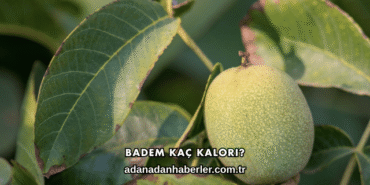 Badem Kaç Kalori?