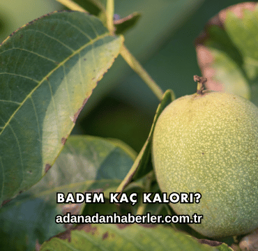 Badem Kaç Kalori?