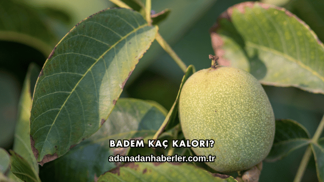 Badem Kaç Kalori?