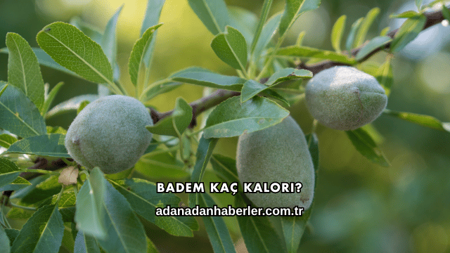 Badem Kaç Kalori?