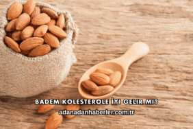 Badem Kolesterole İyi Gelir mi?