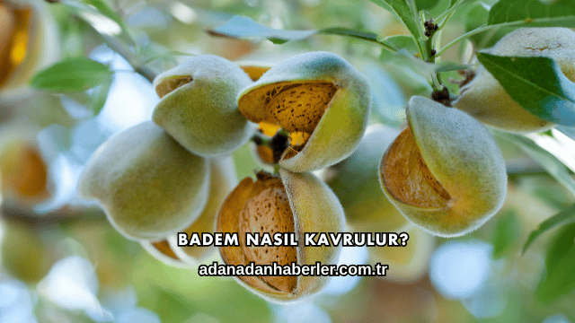 Badem Nasıl Kavrulur?