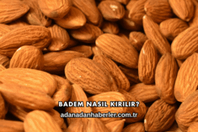 Badem Nasıl Kırılır?