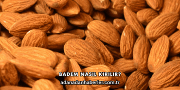 Badem Nasıl Kırılır?