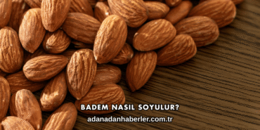 Badem Nasıl Soyulur?