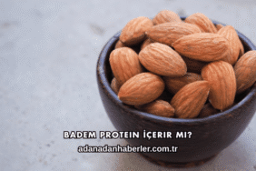 Badem Protein İçerir mi?