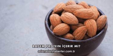 Badem Protein İçerir mi?