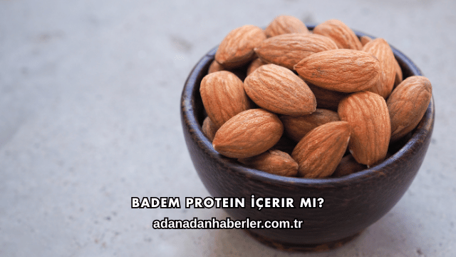 Badem Protein İçerir mi?