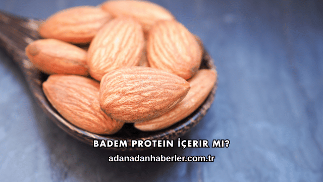 Badem Protein İçerir mi?