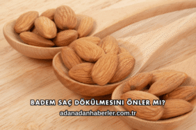 Badem Saç Dökülmesini Önler mi?