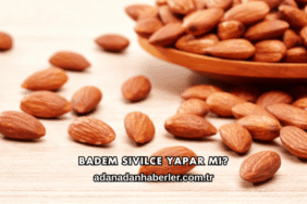 Badem Sivilce Yapar mı?