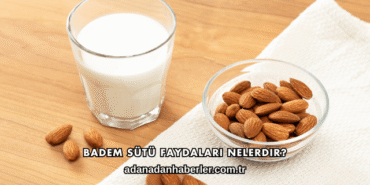 Badem Sütü Faydaları Nelerdir?