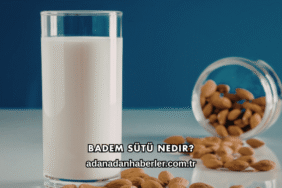 Badem Sütü Nedir?