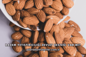 Badem Yetiştiriciliği Devlet Desteği Var mı?
