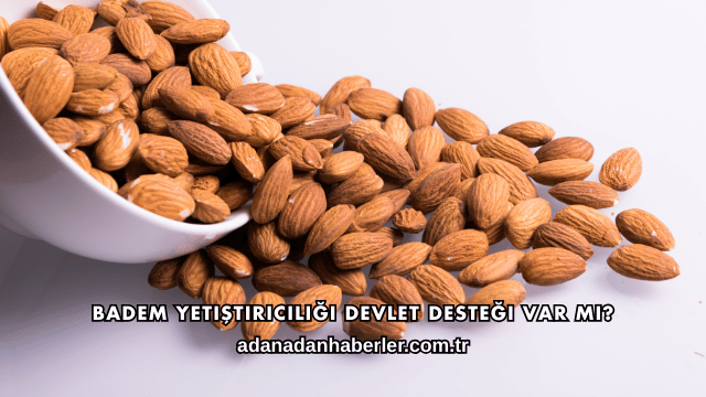 Badem Yetiştiriciliği Devlet Desteği Var mı?