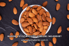 Badem Yetiştiriciliği Hibeleri Nelerdir?