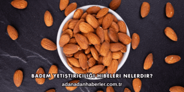 Badem Yetiştiriciliği Hibeleri Nelerdir?