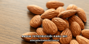 Badem Yetiştiriciliği Karlı mı?