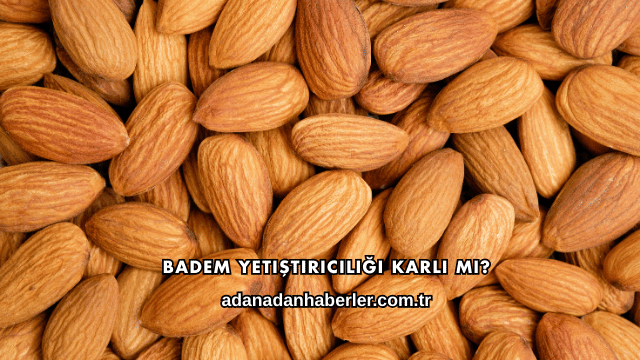 Badem Yetiştiriciliği Karlı mı?