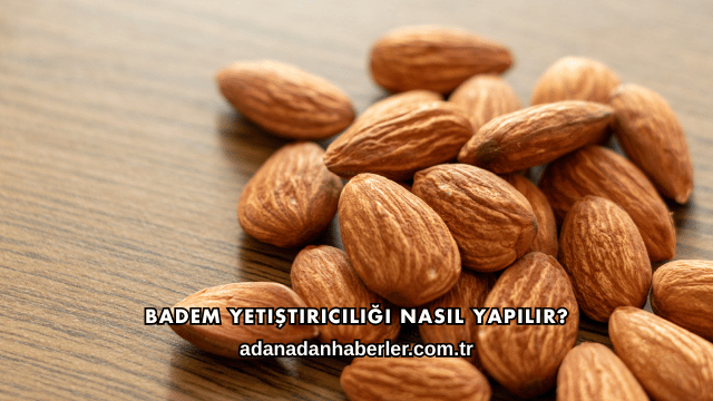 Badem Yetiştiriciliği Nasıl Yapılır?