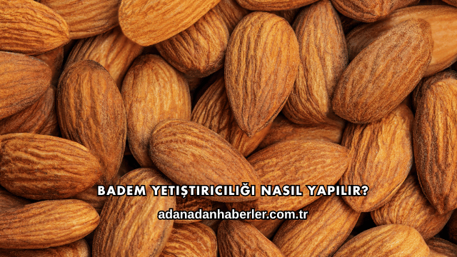 Badem Yetiştiriciliği Nasıl Yapılır?