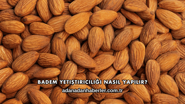 Badem Yetiştiriciliği Nasıl Yapılır?