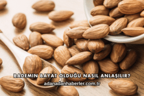 Bademin Bayat Olduğu Nasıl Anlaşılır?