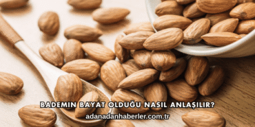 Bademin Bayat Olduğu Nasıl Anlaşılır?