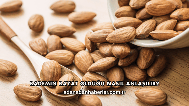 Bademin Bayat Olduğu Nasıl Anlaşılır?