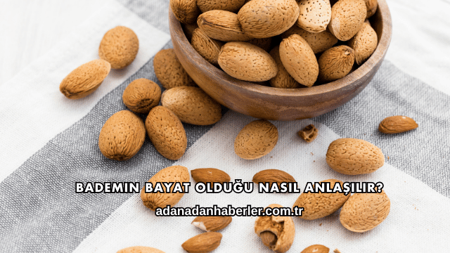 Bademin Bayat Olduğu Nasıl Anlaşılır?