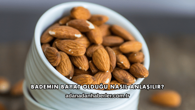 Bademin Bayat Olduğu Nasıl Anlaşılır?