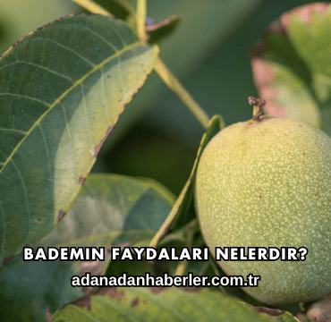 Bademin Faydaları Nelerdir?