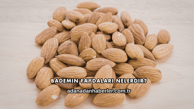 Bademin Faydaları Nelerdir?