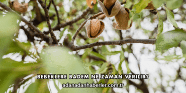Bebeklere Badem Ne Zaman Verilir?