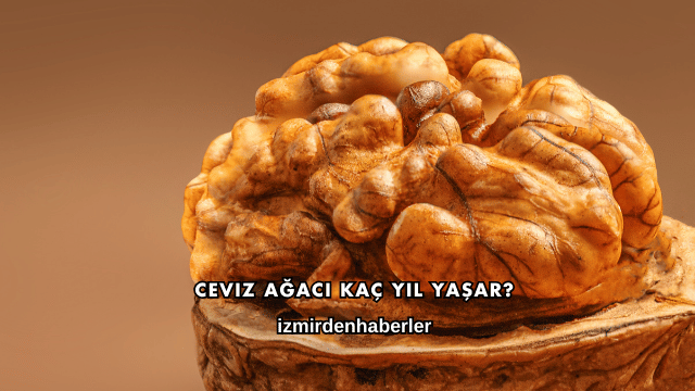 Ceviz Ağacı Kaç Yıl Yaşar?