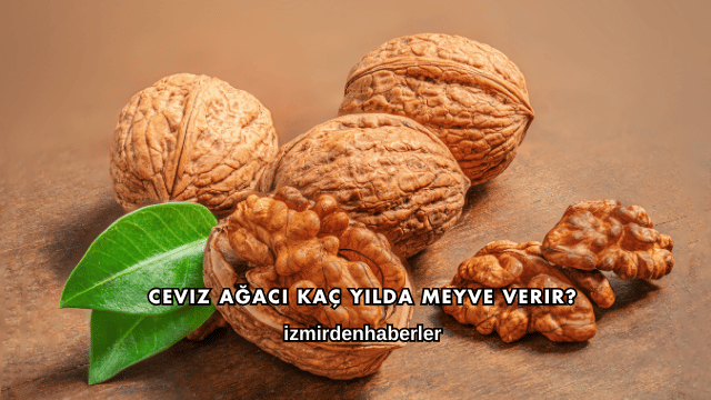 Ceviz Ağacı Kaç Yılda Meyve Verir?