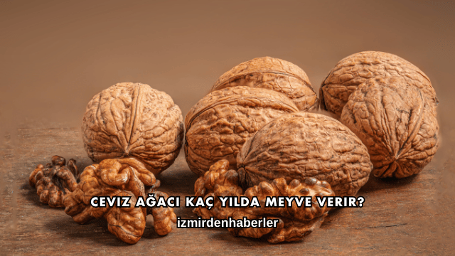 Ceviz Ağacı Kaç Yılda Meyve Verir?