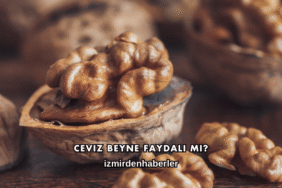 Ceviz Beyne Faydalı mı?