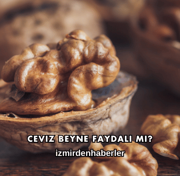 Ceviz Beyne Faydalı mı?