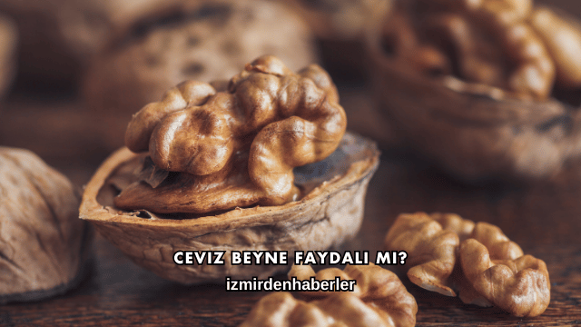 Ceviz Beyne Faydalı mı?