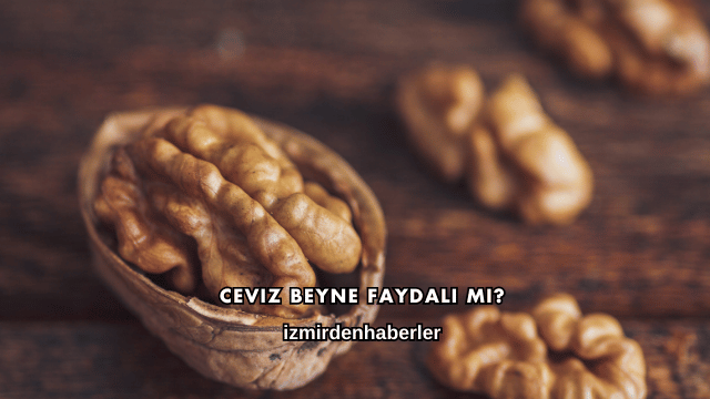 Ceviz Beyne Faydalı mı?